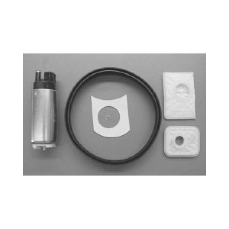 Walbro Fuel Pump/Filter Assembly